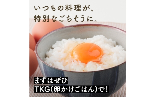 [特別定期便全12回] さかもとのたまご 2回目以降はお好きなタイミングでお届け！ 合計360個 (30個×12回)｜坂本養鶏 大山の麓で育ったさかもとのたまご 伊勢原市 赤玉卵 玉子 鶏卵 生卵 国産 TKG タマゴ 新鮮 大山 鶏 ギフト 安心 安全 親子丼 卵焼き 目玉焼き お菓子 [1026]