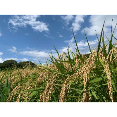ふるさと納税 中間市 中間市米ぬか産直米　5kg×2個 |  | 02