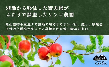 りんごジュース 1L 2本 セット りんごジュース