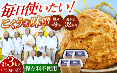 味噌 熟成こくうま味噌 【750g × 4パック】 味噌汁[ABDK001] 国産