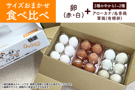 訳あり はっこう卵 3～4種 おまかせ 食べ比べ 15個 +破卵保障3個 卵 種類 サイズ お任せ 訳アリ 3種 4種 白卵 赤卵 青卵 烏骨鶏 有精卵 軍鶏 アローカナ たまご タマゴ 食比べ 生卵