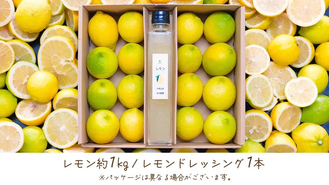 【先行予約】 贈り物に 皮ごと食べられる 生果レモン約1kg ＆レモンドレッシング ギフトセット 1月～2月末発送予定