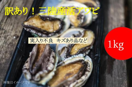 
            【※訳あり※】 三陸産！活アワビ 約1kg (6～10個)【数量限定】【08】｜11月～12月発送 冷蔵 三陸 岩手県 大槌町 あわび 人気 鮑 いわて iwate 2025 魚貝 鮮度抜群【配送日・曜日指定不可】
          