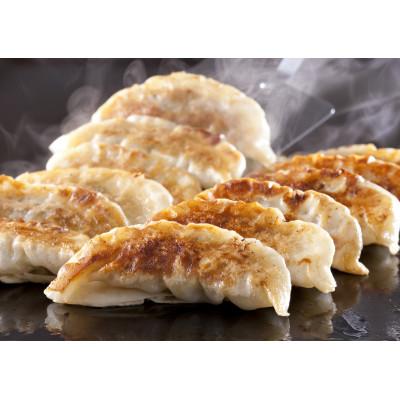 ふるさと納税 福岡市 博多エビ入り一口生餃子 120個 小分け便利8パック　創業40年以上福岡老舗会社製造 SN007 |  | 01