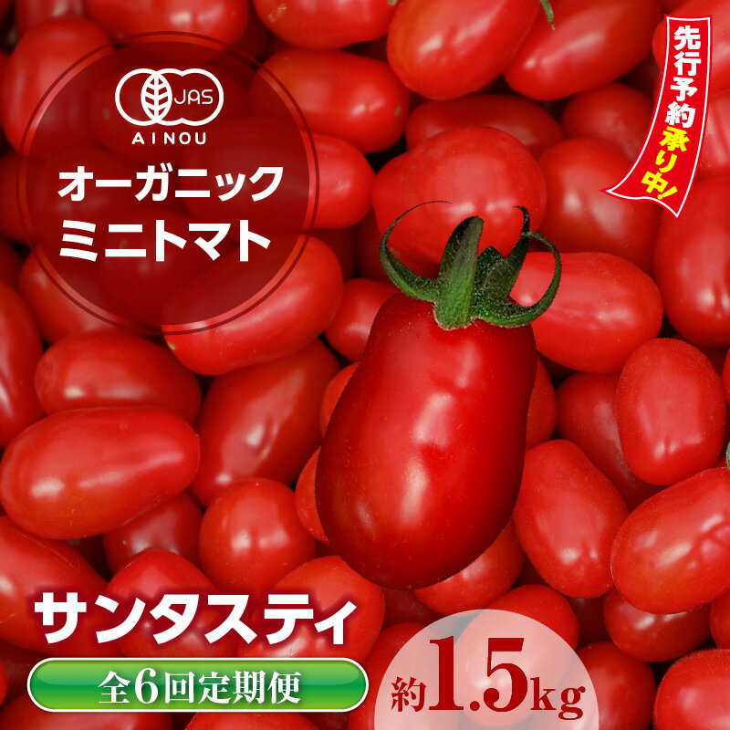 【ふるさと納税】＼先行予約／【全6回 定期便】【発送時期：2025年12月～2026年5月】【数量限定】オーガニックミニトマト サンタスティ【約1.5kg】 高糖度 有機ミニトマト 面白い形 珍しい ミニトマト トマト プチトマト JAS 野菜ヘタなし 有機野菜 特産品 愛知県 送料無料