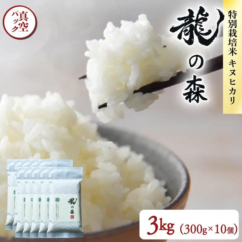 【パックご飯】京都府産キヌヒカリ パックご飯 300g×10個 龍の森