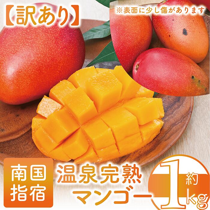 【ふるさと納税】＜訳あり・期間限定＞温泉完熟マンゴー(約1kg・2〜4玉) 果物 フルーツ 完熟 スムージー ジュース 夏 旬 南国 家庭用 自宅用 鹿児島 いぶすき【トロピカルファームいぶすき】