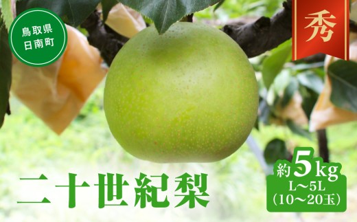 【令和9年産先行予約】二十世紀梨 秀5㎏前後 L～5L(10～20玉前後) 梨 なし フルーツ 鳥取 高間商店