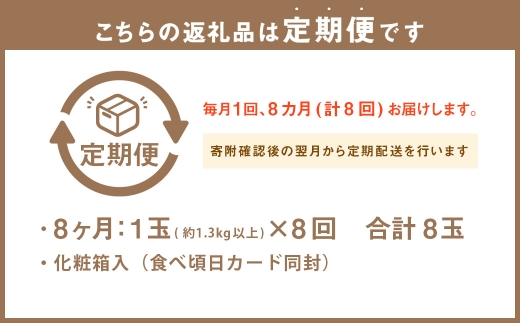 【8ヶ月定期便】 アローマメロン