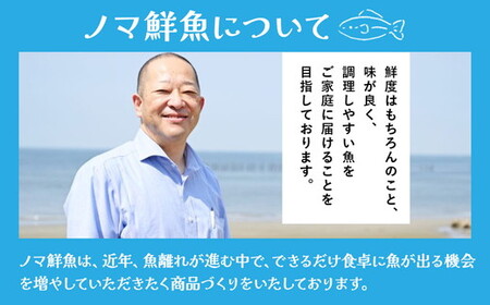 鮮度抜群！お魚おまかせ食べきり６パック・下処理加工してあるので解凍してすぐに調理できます。 ※着日指定不可 ※北海道・沖縄・離島への配送不可◇