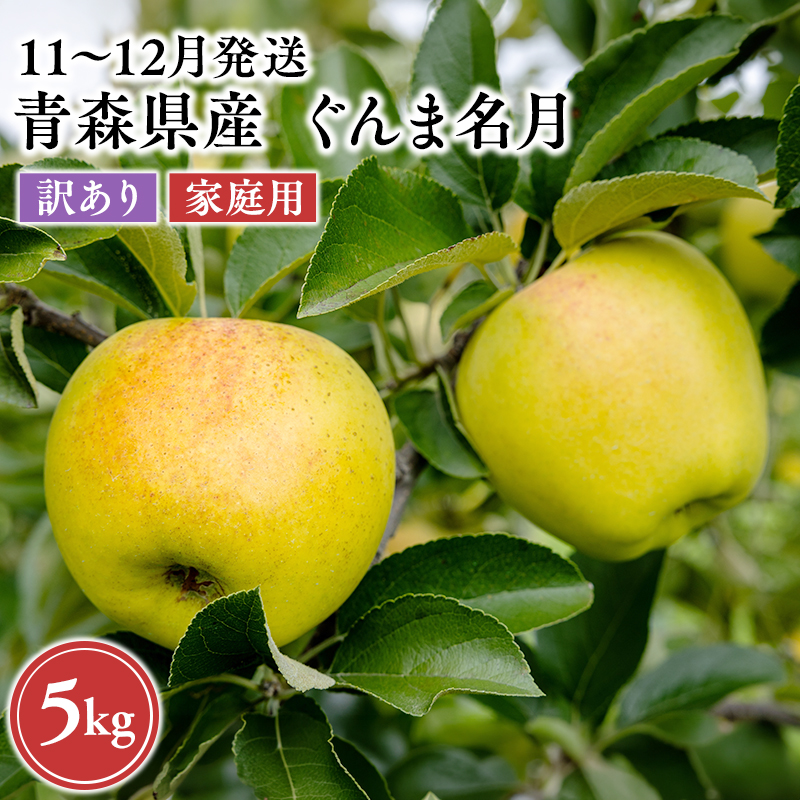 2026年11月～12月発送　【訳あり】家庭用ぐんま名月 約5kg【原田農園】