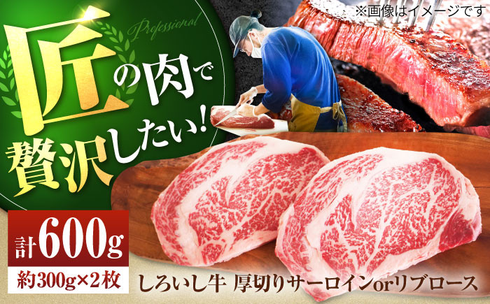 
            【牧場直送】佐賀県産 しろいし牛 厚切りステーキ（サーロインorリブロース） 計600g（約300g×2枚）【有限会社佐賀セントラル牧場】 [IAH037]
          