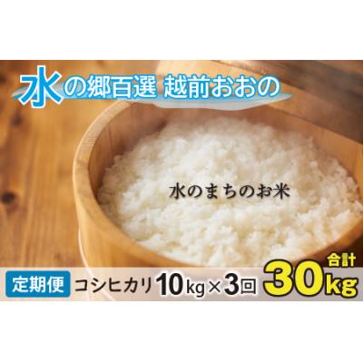 ふるさと納税 大野市 【令和7年産】【3ヶ月定期便】こしひかり 10kg×3回 計30kg【白米】「エコファーマー米」