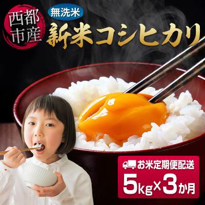 ふるさと納税 西都市 8月より発送【3ヶ月定期便】新米コシヒカリ無洗米 5kg×3回 令和8年産宮崎県西都市[3251]