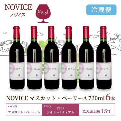 ふるさと納税 笛吹市 赤ワイン NOVICE マスカット・ベーリーA 720ml×6本 日川中央葡萄酒 山梨県 笛吹市 |  | 02