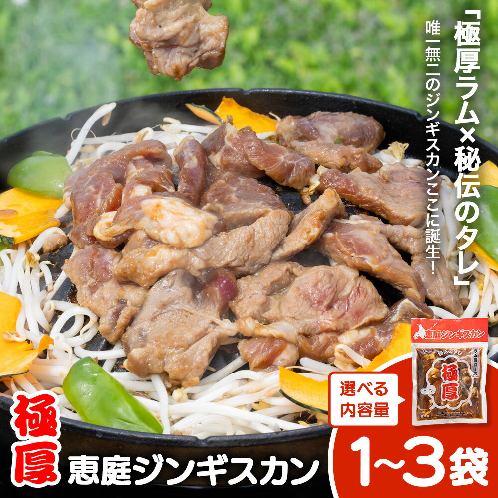 【ふるさと納税】【選べる内容量！】恵庭ジンギスカン（NZラム肩ロース使用）1～3袋 | ジンギスカン 焼肉 ラム ラム肉 肩ロース 恵庭ジンギスカン 羊肉 バーベキュー BBQ 特産品 ご当地グルメ ご飯のお供 冷凍肉 お取り寄せ 北海道 恵庭市 恵庭