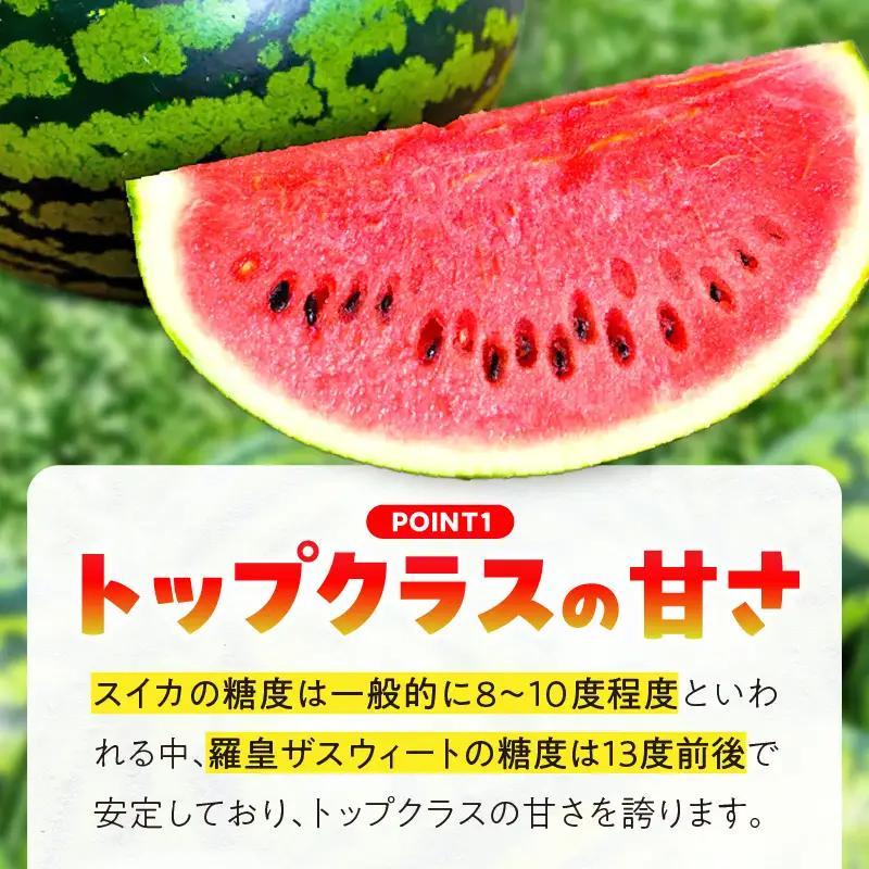 〈予約受付〉【2027年発送】深く甘いコク感と強いシャリ感「羅皇ザスウィート」1玉 すいか 甘い 糖度 果物 フルーツ 数量限定 碧南市 鈴良農園 H141-015