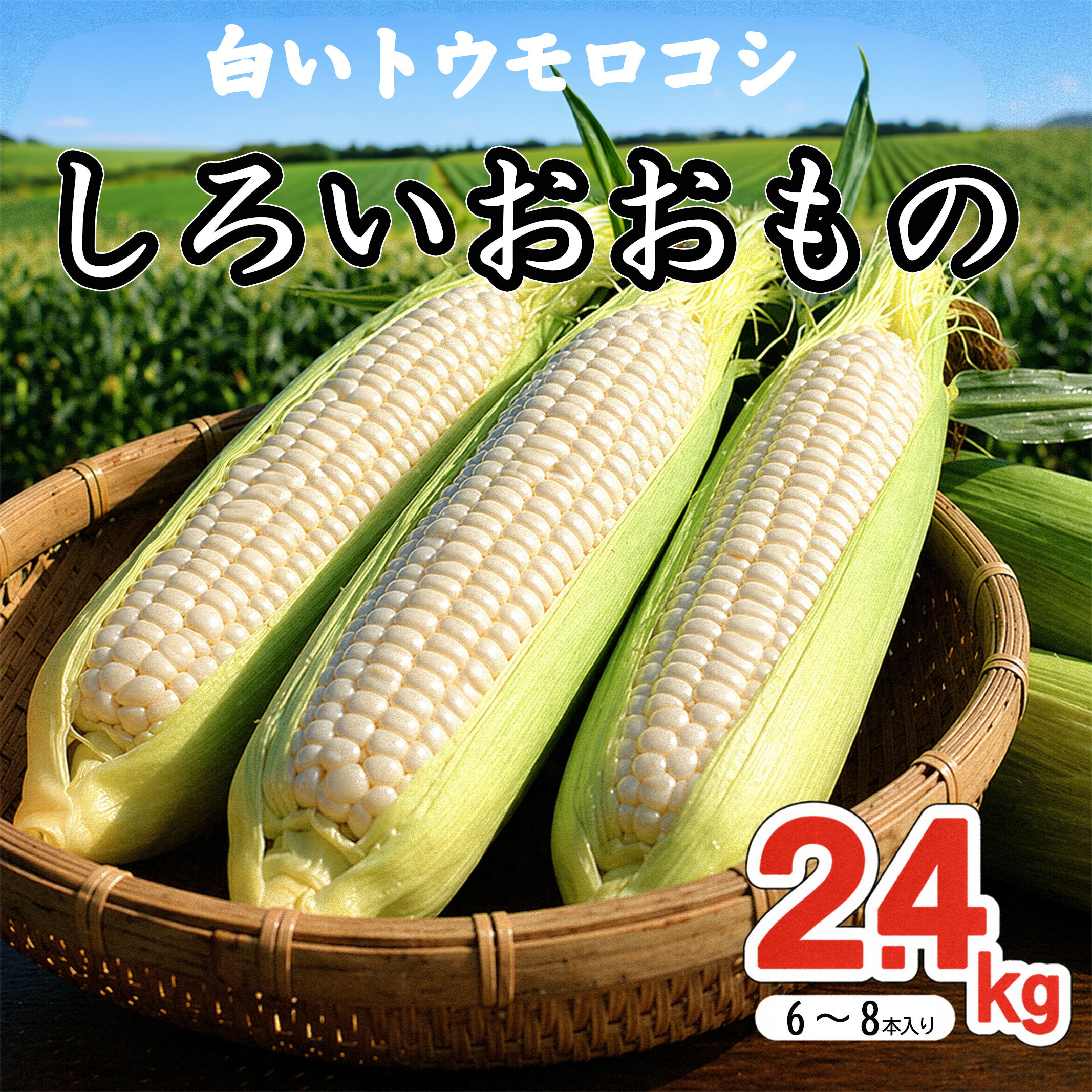 【ふるさと納税】トウモロコシ 約2.4kg（6〜8本） とうもろこし スイートコーン とうきび 夏野菜 新鮮 産地直送 旬 期間限定 先行予約 BBQ キャンプ おやつ 西山台地フルーツ園 高知県室戸市