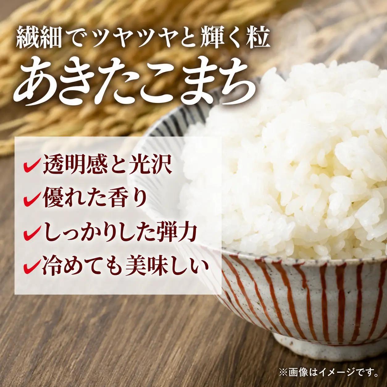 あきたこまち 5kg 令和7年度産 白米 あきたこまち