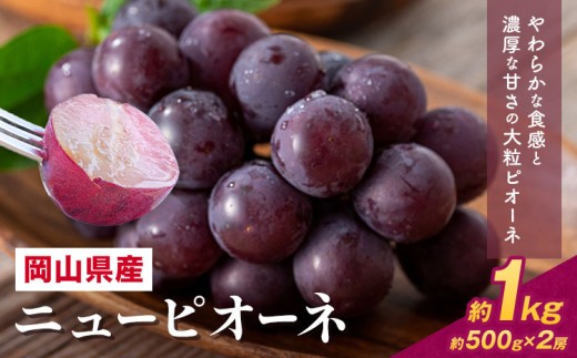 【2026年先行予約】 岡山県産 ニューピオーネ詰合せ 選べる 計 1kg 株式会社はちや《2026年6月下旬‐7月下旬頃出荷》岡山県 浅口市 ぶどう 葡萄 フルーツ ギフト 果物 デザート 国産 送料無料【配送不可地域あり】