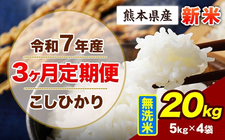 
            【3ヶ月定期便】令和7年産 定期便 こしひかり 20kg 新米 無洗米 阿蘇 うぶやま 米 定期便 熊本県産 ふるさと納税 精米 ひの 米 こめ ふるさとのうぜい コシヒカリ コメ お米 おこめ《申込み翌月から出荷》
          