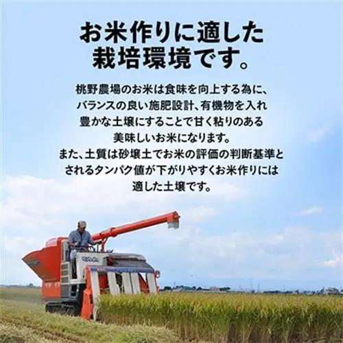 【毎月定期便】特別栽培米 北海道産 ゆめぴりか 5kg(5キロ×1) 精米 美味しいお米全3回【4086817】