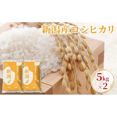 ふるさと納税 新潟市 令和7年産新潟産コシヒカリ 5kg×2 [54070972]