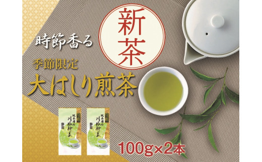 11-53 新茶 静岡川根茶大走り新茶100g×2本