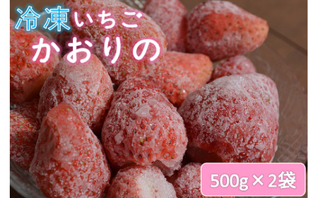 苺 いちご 長門産 冷凍いちご 1kg 500g×2袋「かおりの」フルーツ (1019)