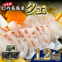 【ふるさと納税】対馬産 幻の高級魚 クエ 1.2kg《対馬市》【保家商事】 [WAA014] 刺身 鍋 クエ鍋 海鮮 鮮魚 しゃぶしゃぶ くえ鍋 アラ クエ 希少 鮮魚