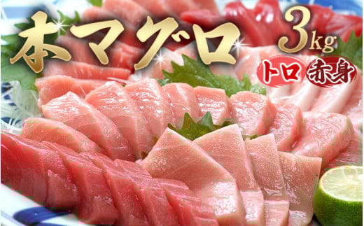 【串本町×北山村】本マグロ（養殖）トロ＆赤身セット 3kｇ【7月発送】【nks112-7】