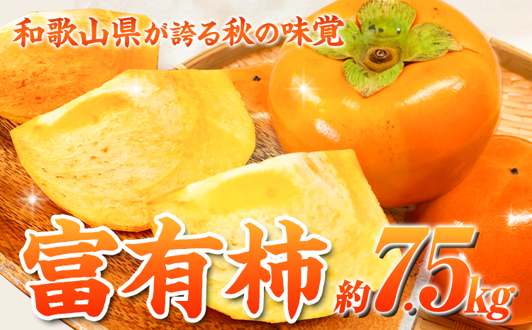 ＊先行予約＊和歌山秋の味覚富有柿約7.5kg株式会社魚鶴商店《2025年11月上旬-12月上旬頃出荷》柿富有柿フルーツ---wsh_uot84_11j12j_24_25000_75---