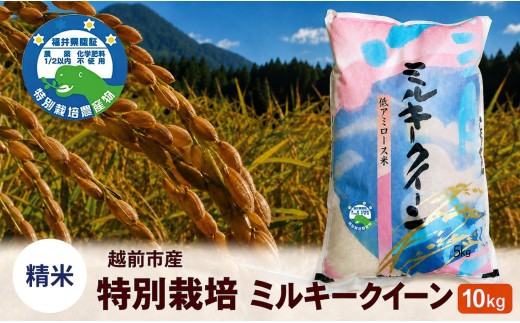 【令和8年度新米 精米】特別栽培 越前市産ミルキークイーン 10kg