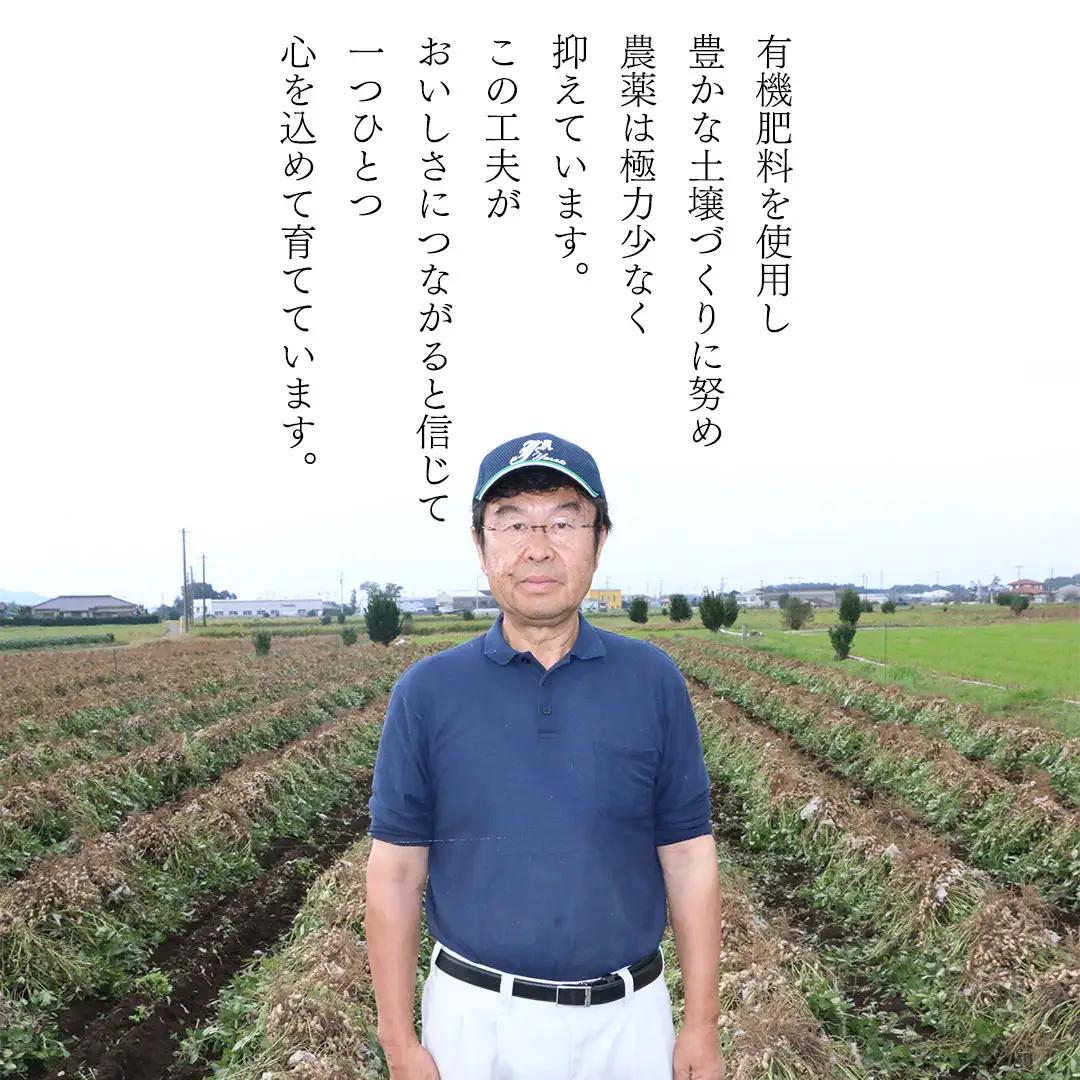 訳あり 落花生 はねだし 1kg ( 250g × 4袋 ) 国産 豆 ピーナッツ ナッツ おつまみ おやつ 茨城県産 不揃い 規格外 [BB008sa]