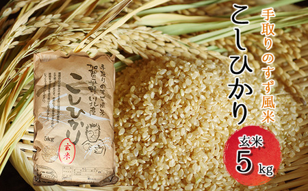 【令和6年度産】手取りのすず風米こしひかり　玄米5kg