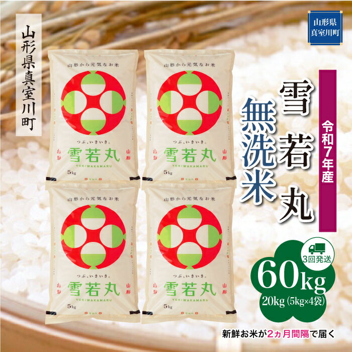 【ふるさと納税】 令和7年産 真室川町厳選 雪若丸 ［無洗米］ 60kg 定期便（20kg×3回お届け）
