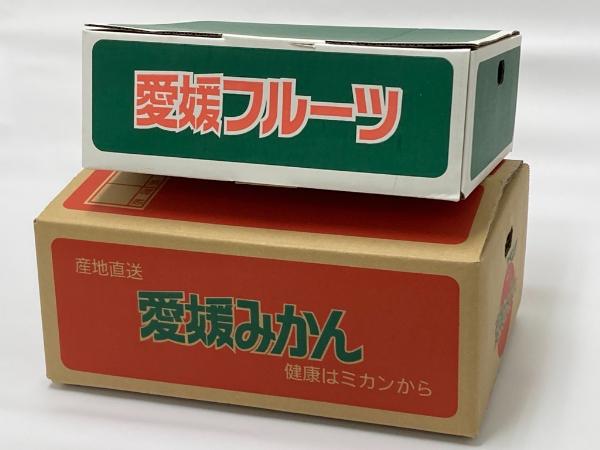 愛果28号と温州みかんのセット 小玉マルチ 年内配送 人気 数量限定 みかん 愛媛 柑橘 伊予市 【2025年12月上旬から順次発送予定】|B163