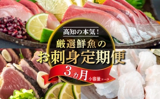 刺身 定期便 3ヶ月 小容量 コース 小島水産 産地直送 かつお ブリ 真鯛 3回 新鮮 乙女鯛 乙女ブリ 藁焼き かつおタタキ 鯛 タイ 鰤 ぶり 鰹タタキ 鰹 カツオ  かつおのたたき 海鮮 お刺身 一人暮らし 少量 高知県 須崎市 KS31000