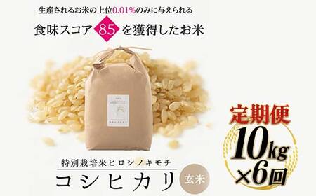 【6回定期】特別栽培米 コシヒカリ ヒロシノキモチ 玄米 10kg 総計60kg 陽咲玲 米 お米 コメ ご飯 ごはん 富山県産 富山県 立山町 F6T-1006