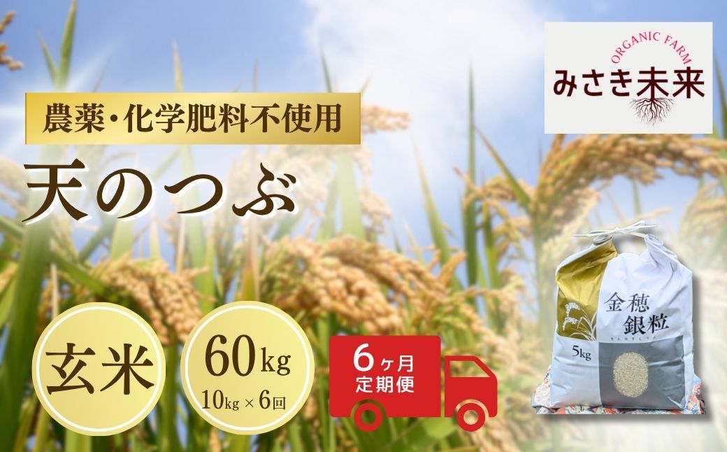 【先行予約】【6か月定期便】天のつぶ 玄米 60kg (10kg×6回) 令和8年産 | 栽培期間中農薬・化学肥料不使用 精米 お米 米 こめ コメ 福島産 福島県産 南相馬 みさき未来 天のつぶ c