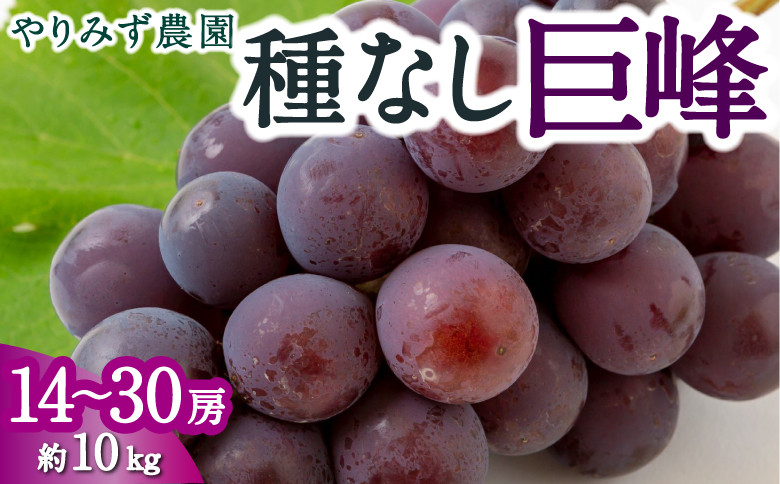 
            【先行予約】やりみず農園 種なし巨峰 14房から30房 (約10kg) 2025年8月中旬から8月下旬 出荷予定
          