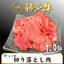 【ふるさと納税】訳あり神戸牛　TSS2S　切り落とし肉　500g×2【配送不可地域：離島】【1509906】