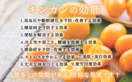 O-A4 串間産きんかん使用！「無添加」にこだわったきんかんコンポートとジャムセット(2種・合計4個)【とみやま】