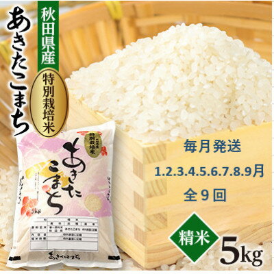 【ふるさと納税】【発送月固定定期便】毎月発送　特別栽培米あきたこまち5kg全9回【配送不可地域：離島・沖縄県】【4075611】