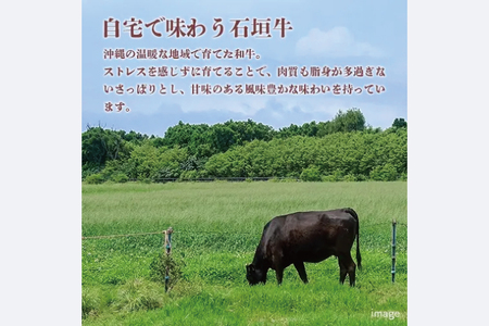 石垣牛モモステーキ 計400g(約200g×2枚)｜肉 お肉 にく 牛肉 モモ ステーキ モモステーキ 石垣牛 沖縄 沖縄県 豊見城市 送料無料 人気(AG028)