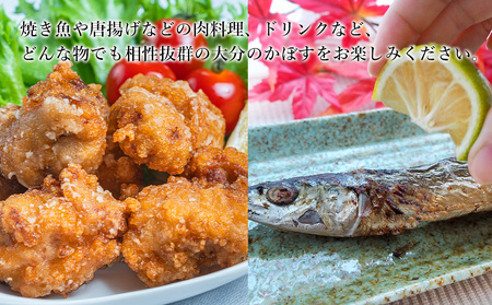 大分県産 かぼす 約 1.8kg | カボス 柑橘 かんきつ 柑橘類 果物 くだもの ビタミン フレッシュ 九州産 国産 大分県 中津市【発送は2026年8月中旬～2026年10月10日頃までの予定】