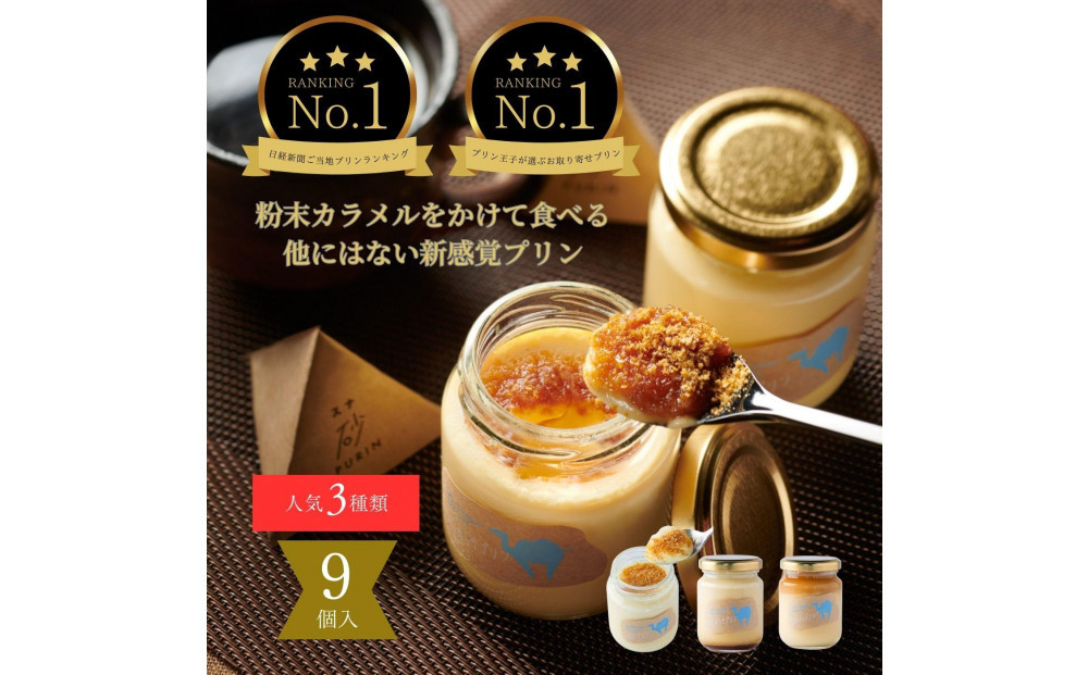 プリン専門店Totto PURIN プリン食べ比べ9個セット 312011_DD013