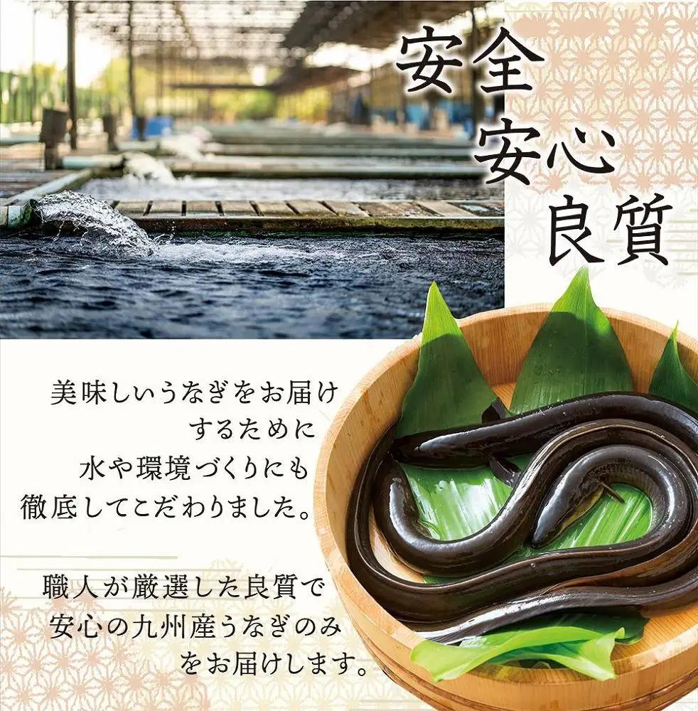 国産 うなぎ蒲焼 2尾 約350g
