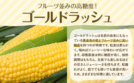 【先行予約】とうもろこし約3kg老沼利治《6月中旬-7月中旬頃出荷》朝採れスイートコーン