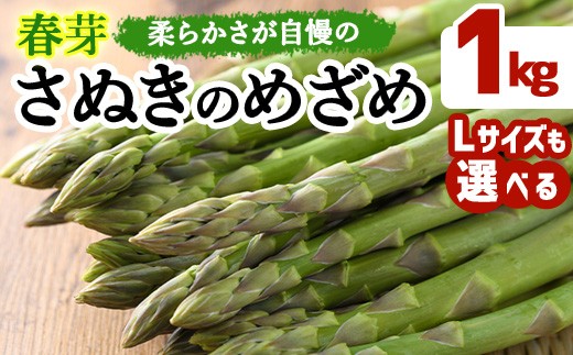 
                  ＜期間限定！2026年2月下旬以降順次発送予定＞＜Lサイズも選べる＞春芽！アスパラガス さぬきのめざめ (約1kg/通常サイズ・Lサイズ以上) 【man116・man117】 【Aglio nero】
                